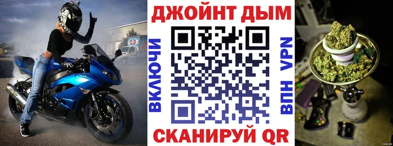 Каннабис планчик Шагонар